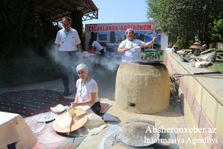 I Beynəlxalq Dolma Festivalına hazırlıq - FOTOLARDA - 1