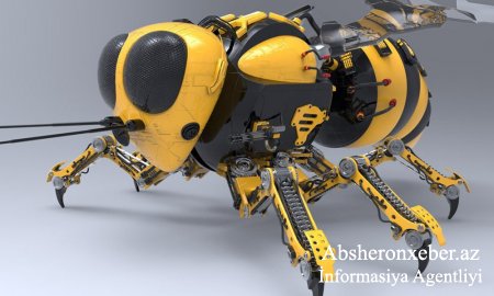 Robot-arılar bitkiləri tozlandıracaq