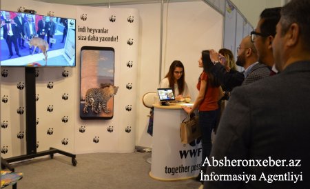 “WWF Azərbaycan” uşaqların mütaliəyə marağını artırır