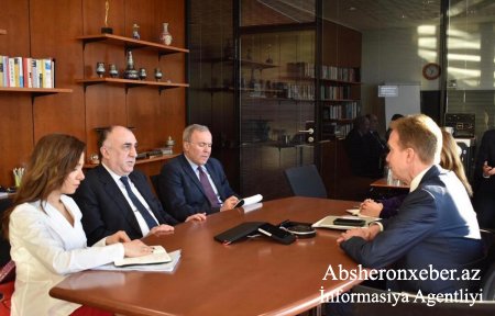 Elmar Məmmədyarov Dünya İqtisadi Forumunun prezidenti ilə görüşüb