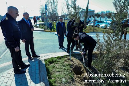 Dövlət Gömrük Komitəsinin Akademiyasında Novruz bayramı ilə əlaqədar ağacəkmə aksiyası keçirilib