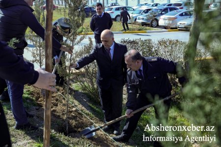 Dövlət Gömrük Komitəsinin Akademiyasında Novruz bayramı ilə əlaqədar ağacəkmə aksiyası keçirilib
