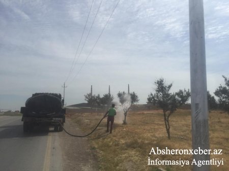 Mehdiabad-Digah-Məmmədli avtomobil yolununun ətrafı abadlaşdırılır