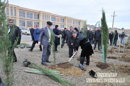 Abşeron rayonunda ağacəkmə aksiyası keçirildi
