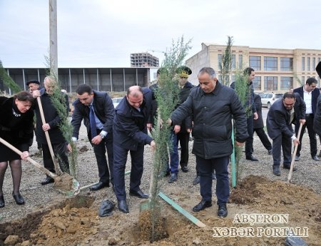 Abşeron rayonunda ağacəkmə aksiyası keçirildi