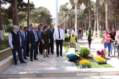 Ümummili Lİder Heydər Əliyevin doğum günü ümumrayon ağacəkmə aksiyası keçirildi