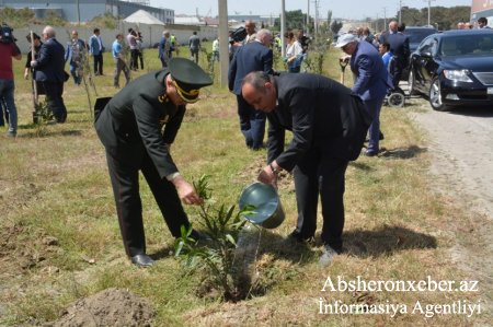 Ümummili Lİder Heydər Əliyevin doğum günü ümumrayon ağacəkmə aksiyası keçirildi