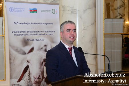 Azərbaycan və FAO dörd yeni layihə reallaşdırmağı planlaşdırır