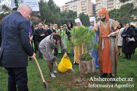 Abşeronda ağacəkmə kampaniyası bayram əhvalı ilə həyata keçirilib - FOTOLAR