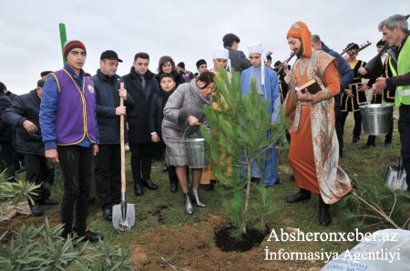 Abşeronda ağacəkmə kampaniyası bayram əhvalı ilə həyata keçirilib - FOTOLAR