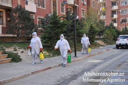 Abşeron rayonunda dezinfeksiya və profilaktik tədbirlər davam etdirilir - Fotolar
