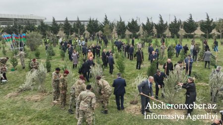 Abşeron rayonunda “Heydər Əliyev İli” çərçivəsində ağacəkmə aksiyası keçirilmişdir