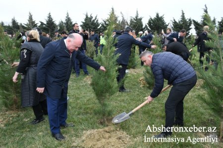 Abşeron rayonunda “Heydər Əliyev İli” çərçivəsində ağacəkmə aksiyası keçirilmişdir